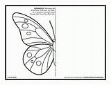 Symmetry Butterfly Kids Coloring Activity Pages Drawing Printable Activities Worksheets Sheets Grade Symmetrical Mirror Draw Template Artforkidshub Bug Pdf Color sketch template