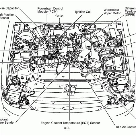 ford escape  firing order wiring  printable