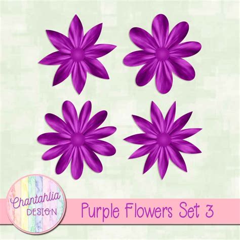 purple flowers design elements