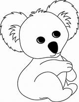 Koala Koalas Colorir Imprimir Coalas Bebe sketch template