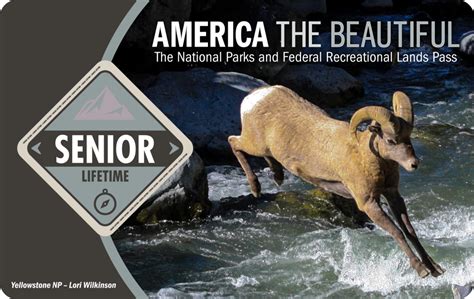 The 2021 Federal National Parks Senior Pass America The Beautiful