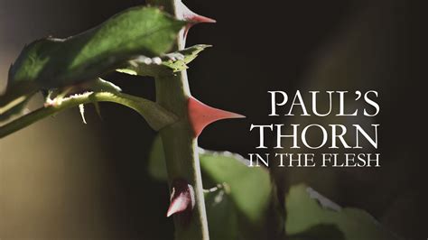 pauls thorn   flesh daily word
