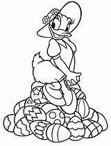 Disney Daisy Pages Coloring Walt Duck Characters Fanpop Drawing Getdrawings Line sketch template