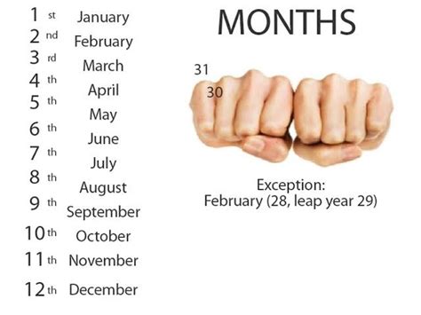 months   days  months   days   months   days
