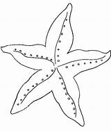 Starfish Coloringme sketch template