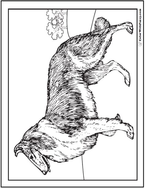 border collie coloring pages  getdrawings