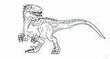 Indoraptor Rex Indominus Px sketch template