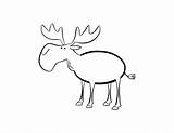 Coloring Moose Elch Ausmalbild Coloringhome Kostenlos sketch template