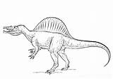 Sauropod Realistic Spinosaurus sketch template