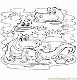 Swamp Crocodiles Alligator Crocodile Vbs Colouring Dock Print Visekart Clipartof Designlooter sketch template