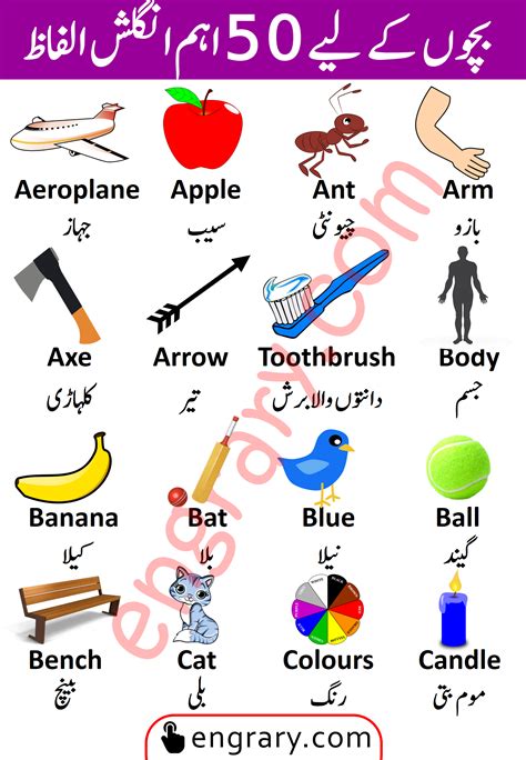 basic english vocabulary words  kids  urdu meanings engrary