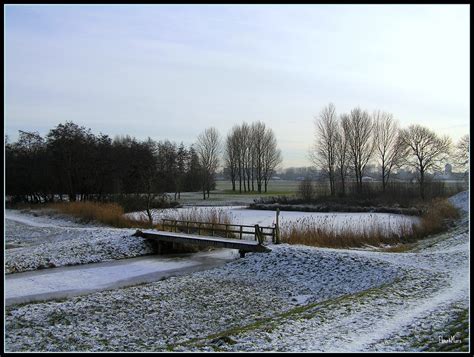 good   lasted westerveldse bos zwolle flickr