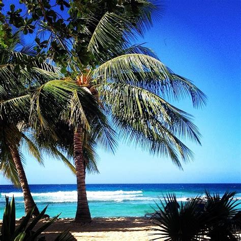 3 Things To Do In Barbados Wayfaring Tech Nomad