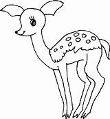 Deer Coloring Baby Pages Clipart Cute Drawing Kids Colouring Printable Forest Getdrawings Popular Library Coloringhome sketch template
