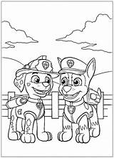 Patrol Paw Coloring Kids Pages Printable Few Details sketch template