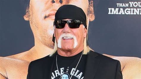 Hulk Hogan Reinstatement Draws Disappointment From Some
