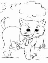 Kitty Coloringonly Procoloring Colouring sketch template