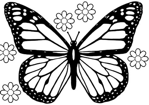 whispering wings  butterfly coloring pages printable