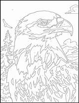 Number Color Adult Pages Coloring Dover Numbers Paint Printable 塗り絵 Publications Bird Eagle Animal Book Bald Welcome ぬり絵 Books Adults sketch template