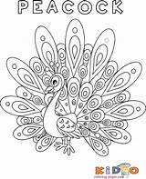 Peacock Pages Coloring Printable Cartoon Kids Print sketch template