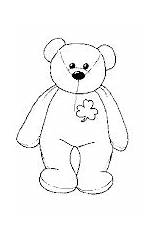 Erin Coloring Bear Beanie Baby Activity Pages sketch template