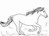 Coloring Stallion Pages Getdrawings Riding Spirit sketch template