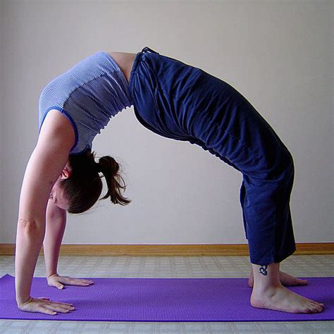 harmony yoga  ann arbor  bending poses