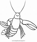 Crawfish Gambero Boil Koozies Ganson Crayfish البحر Langostas Openclipart I2clipart Clipartkey sketch template