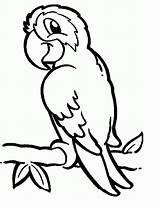Parrot Colouring sketch template