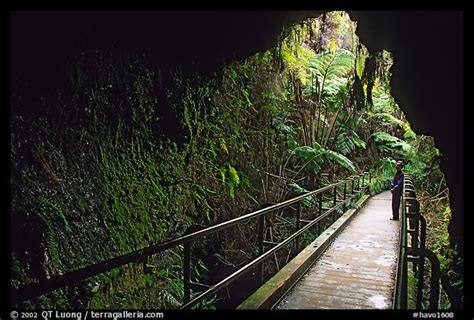 Picture Photo Thurston Lava Tube Seen From Inside Hawaii