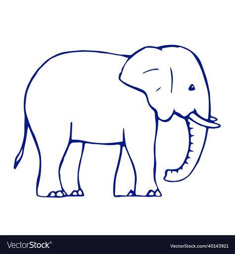 drawing   baby elephant   white background vector image