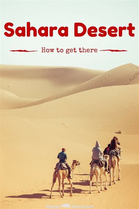 things to do in marrakech a short guide to morocco s red