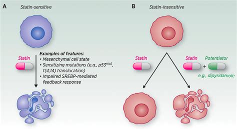 statins  anticancer agents   era  precision medicine penn lab