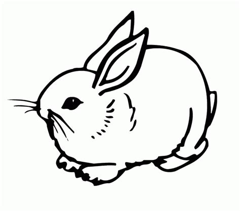 cute bunny rabbit coloring page bunny rabbits coloring pages az
