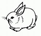 Coloring Rabbit Bunny Cute Pages Rabbits Print Az sketch template