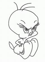 Tweety Coloring sketch template