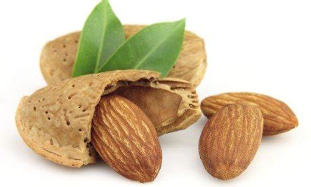 almonds  king  nuts