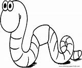 Worm Coloring sketch template