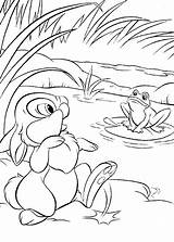 Ausmalbilder Hasen Besuchen Zum Dekoking Disney Malvorlagen sketch template