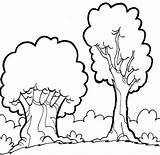Bosques Bosque Pintar Grossa Fina Bos Bomen Niñas Aprender Rvores sketch template