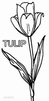 Tulip Coloring Pages Sheets Printable Cool2bkids Kids sketch template