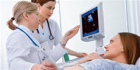 dd ultrasound training