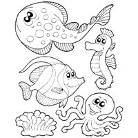 fish  marine mammals page    coloring pages surfnetkids