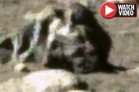 Alien News Humanoid Figure Spotted On Moon In Bizarre Video Daily Star