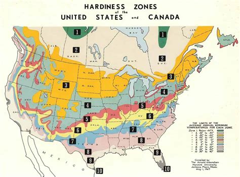 What Is The Usda S Plant Hardiness Zone Map