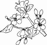 Kwiaty Wiosenne Wielkanocne Kolorowanka Kategorii Supercoloring sketch template