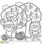 Coloring Kids Cherries Harvesting Illustration Picking Book Fruit Dreamstime Children Tree Girl Boy Pages Apple Royalty sketch template