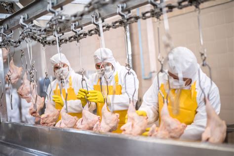 tyson begins  million poultry production expansion  chicken demand