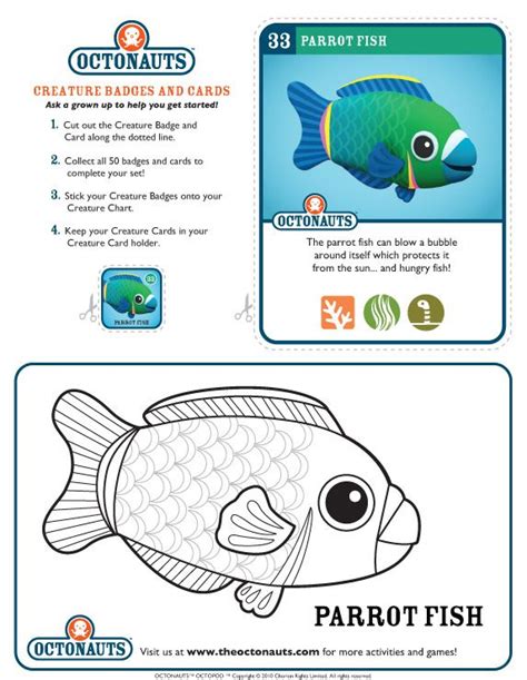 parrotfish    printable creature page   flickr