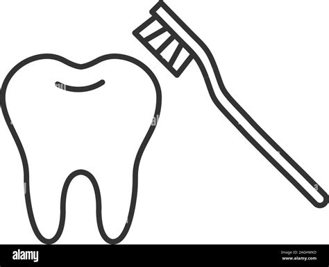 correct teeth brushing linear icon thin  illustration tooth